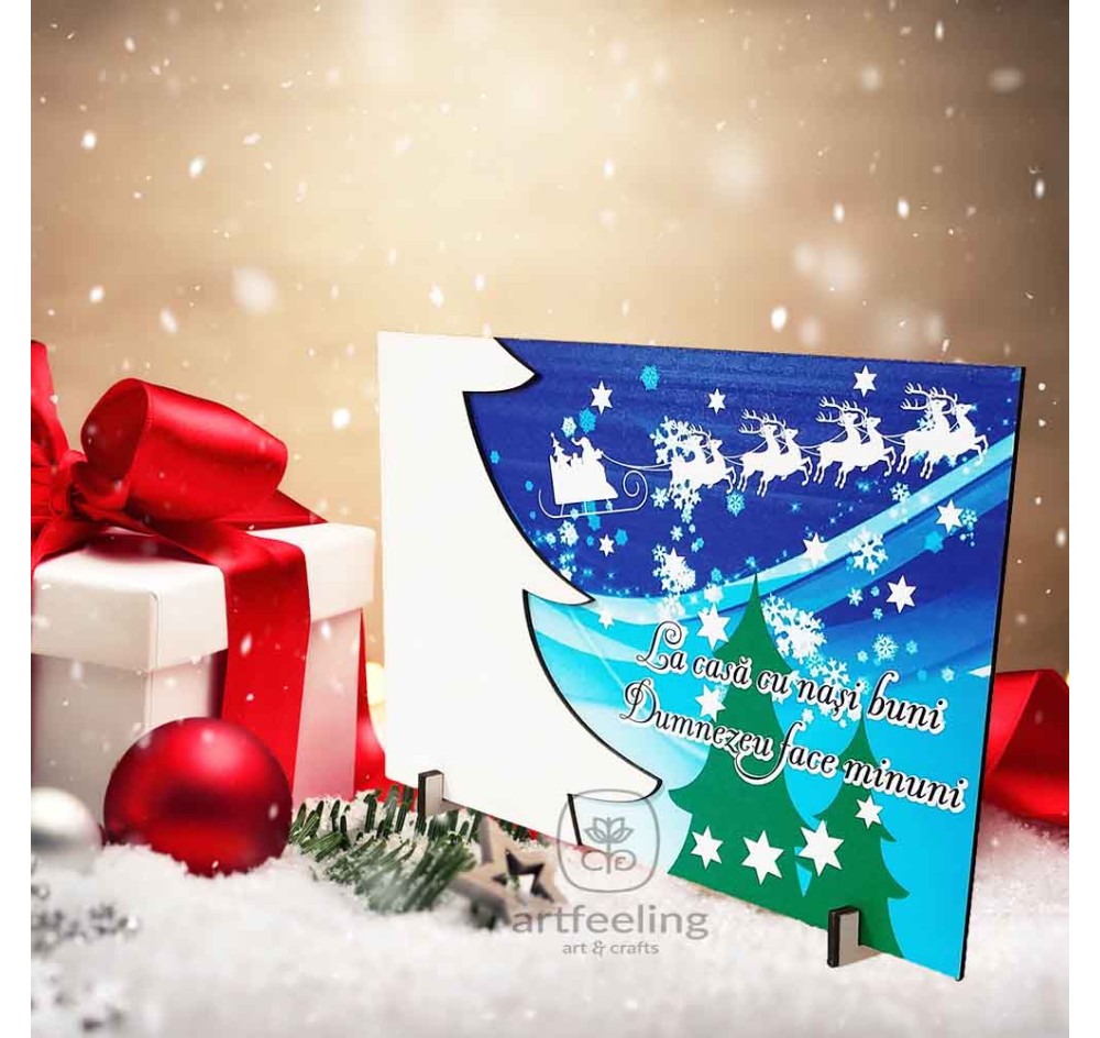 BAZA LICHENI - CRACIUN -BRAD-LA CASA CU NASI BUNI