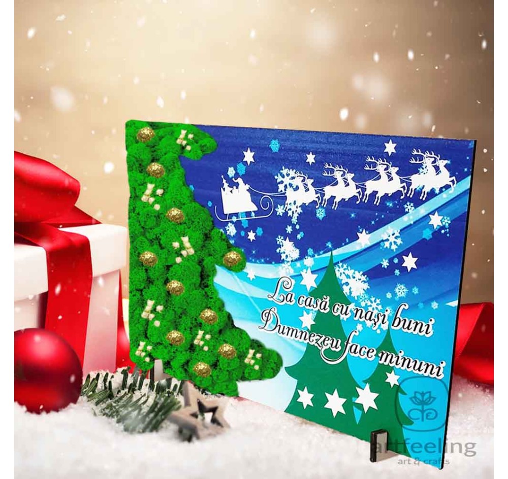 BAZA LICHENI - CRACIUN -BRAD-LA CASA CU NASI BUNI