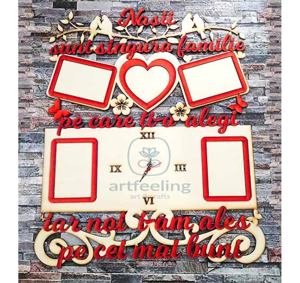 RAMA FOTO-NASII SUNT SINGURA...